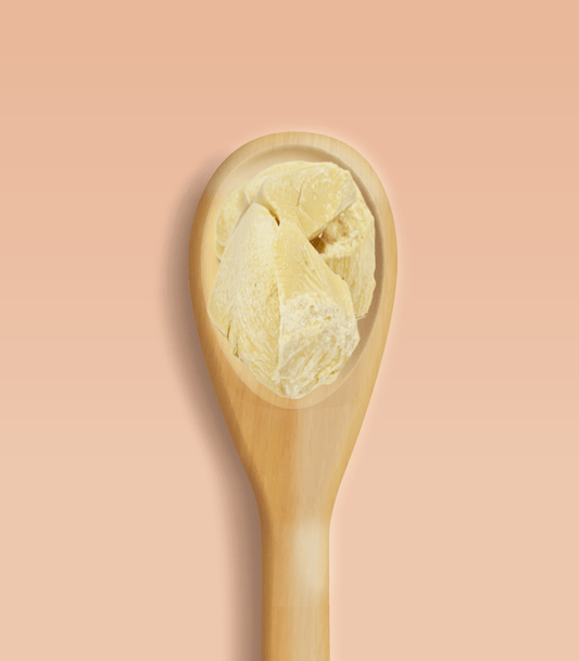 SkinKindle™ Cocoa Butter (Refined) - SkinKindle™